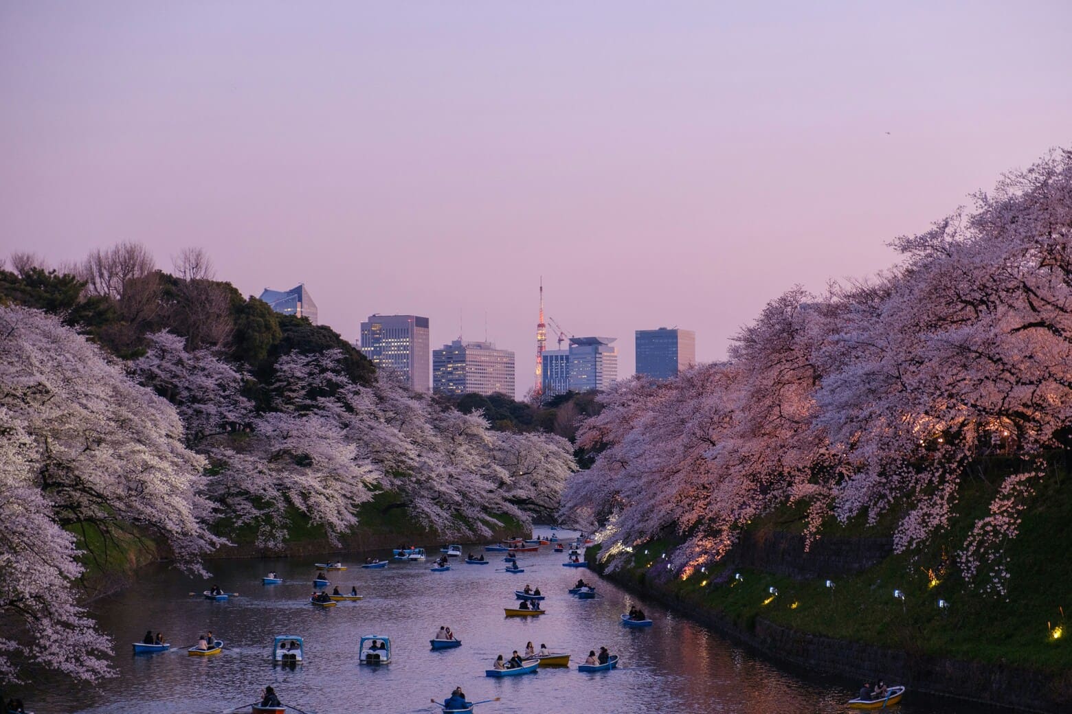 東京夜景スポットBEST10：無料で楽しめる展望台から穴場まで